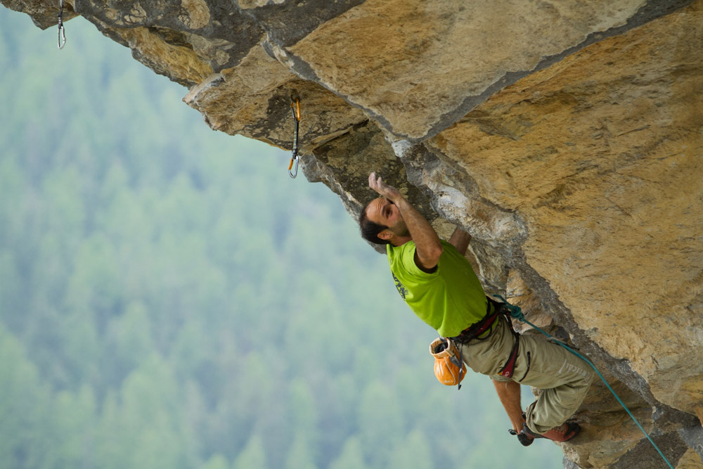 Une arquee pour un criquet (7)